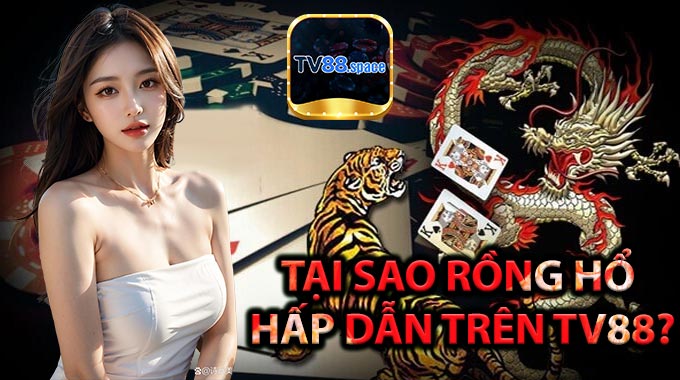 Tại sao Rồng Hổ hấp dẫn trên TV88?